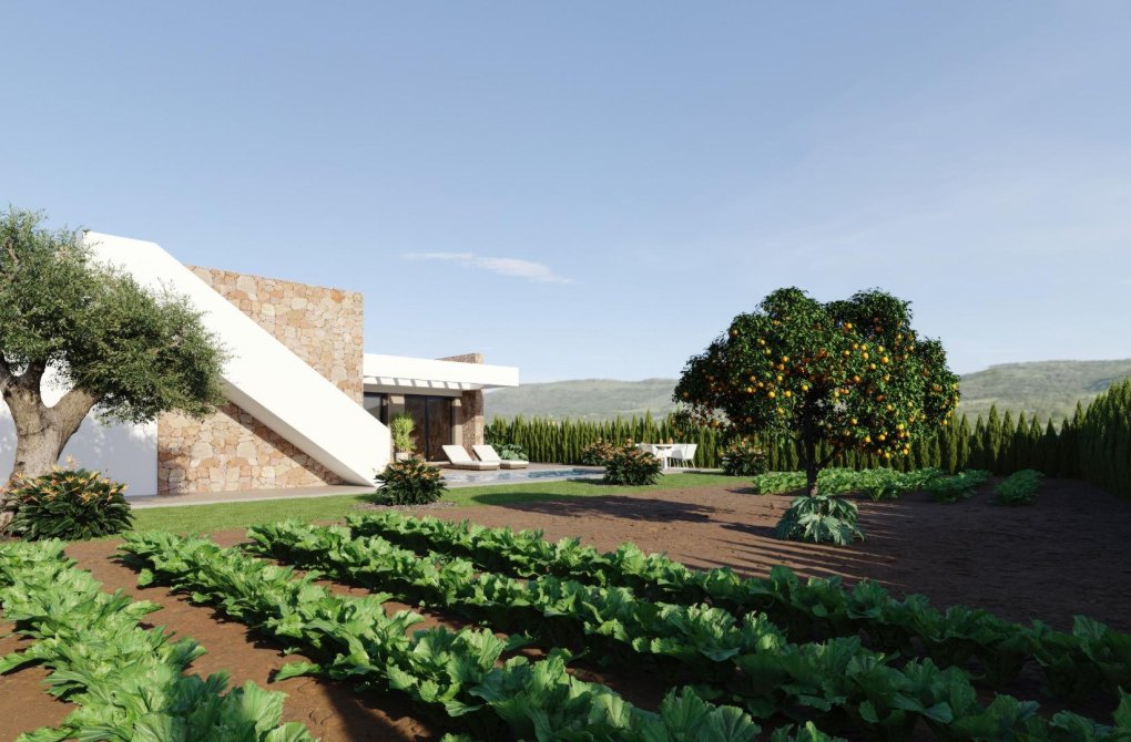 New build - Villa - Fuente Álamo - Hacienda del Alamo