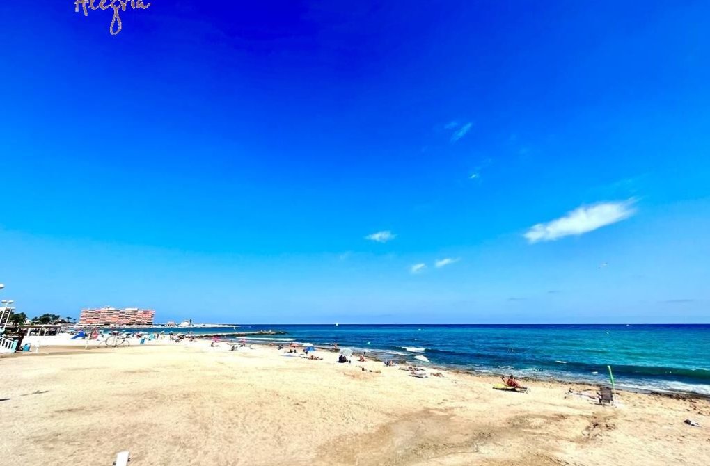 Rynek wtórny - Apartament - Torrevieja - Curva del Palangre