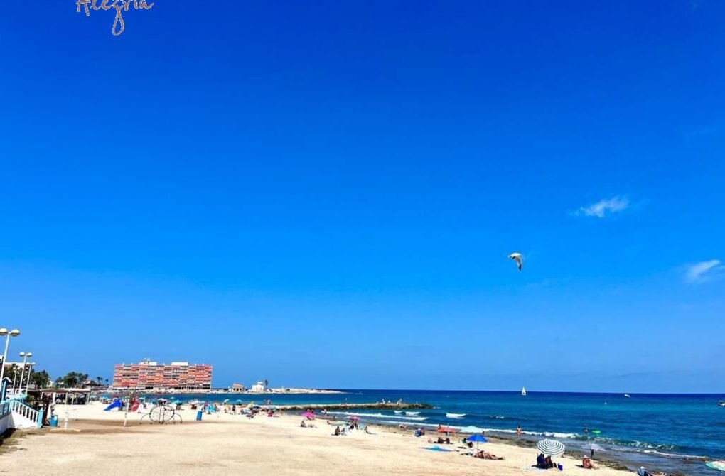 Rynek wtórny - Apartament - Torrevieja - Curva del Palangre