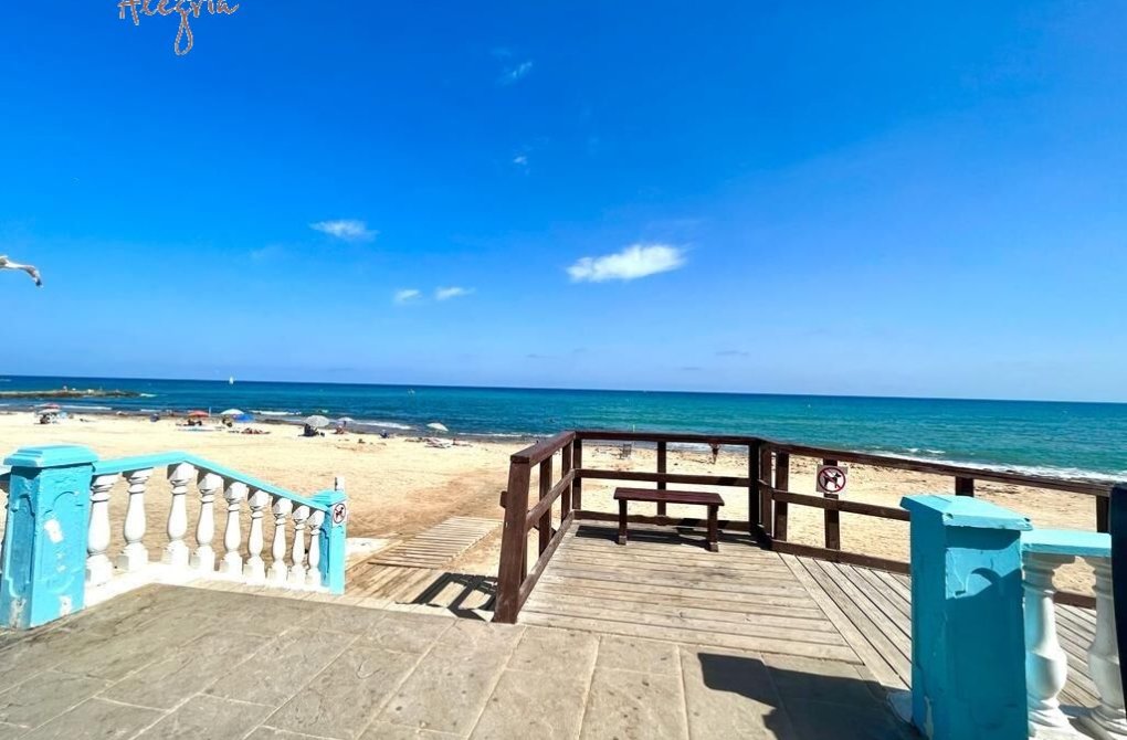 Rynek wtórny - Apartament - Torrevieja - Curva del Palangre