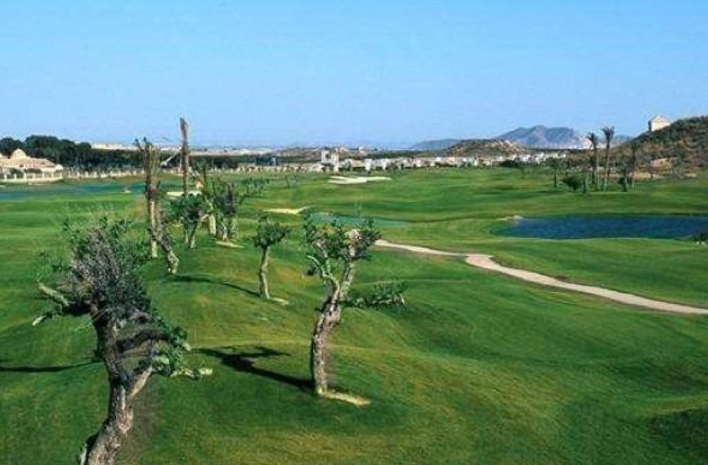 New build - Villa - Sucina - Peraleja Golf