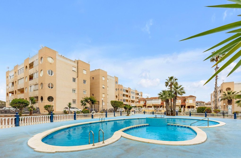 Rynek wtórny - Apartament - Torrevieja - La Siesta - El Salado - Torreta