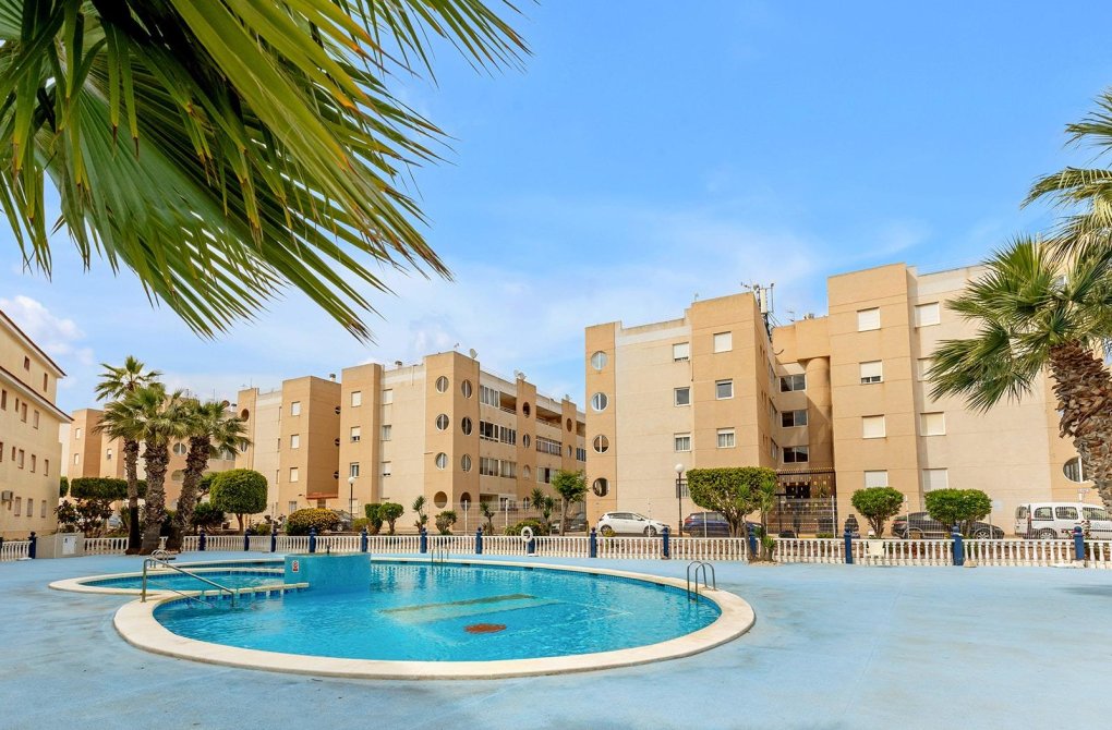 Rynek wtórny - Apartament - Torrevieja - La Siesta - El Salado - Torreta