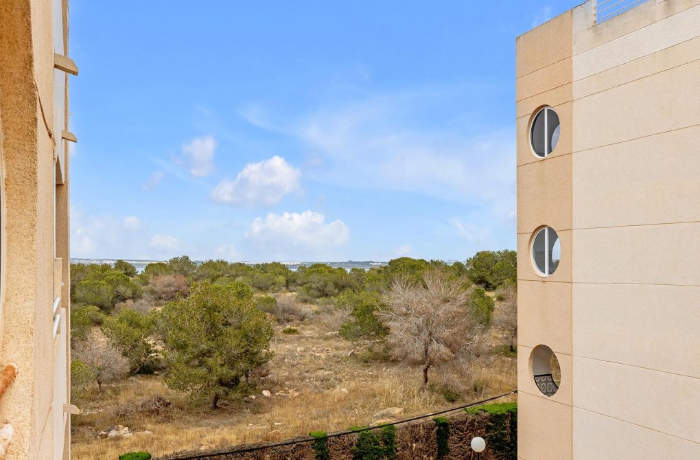 Rynek wtórny - Apartament - Torrevieja - La Siesta - El Salado - Torreta