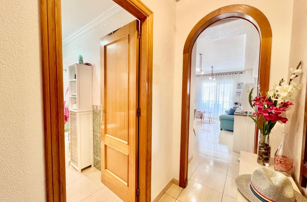 Reventa - Apartamento - Torrevieja - Habaneras