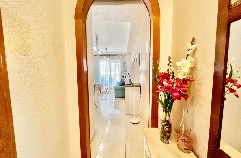 Reventa - Apartamento - Torrevieja - Habaneras