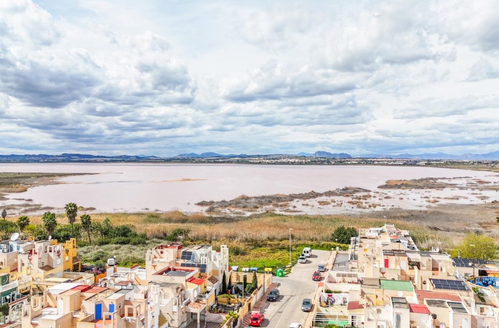 Rynek wtórny - Szalet - Torrevieja - torreta III