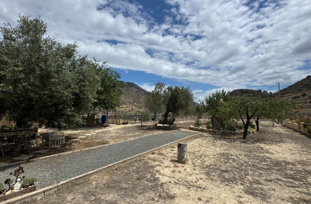 Resale - house - Relleu