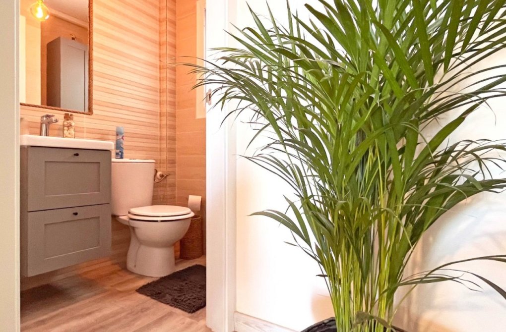 Rynek wtórny - Dom szeregowy - Torrevieja - Los Balcones - Los Altos del Edén