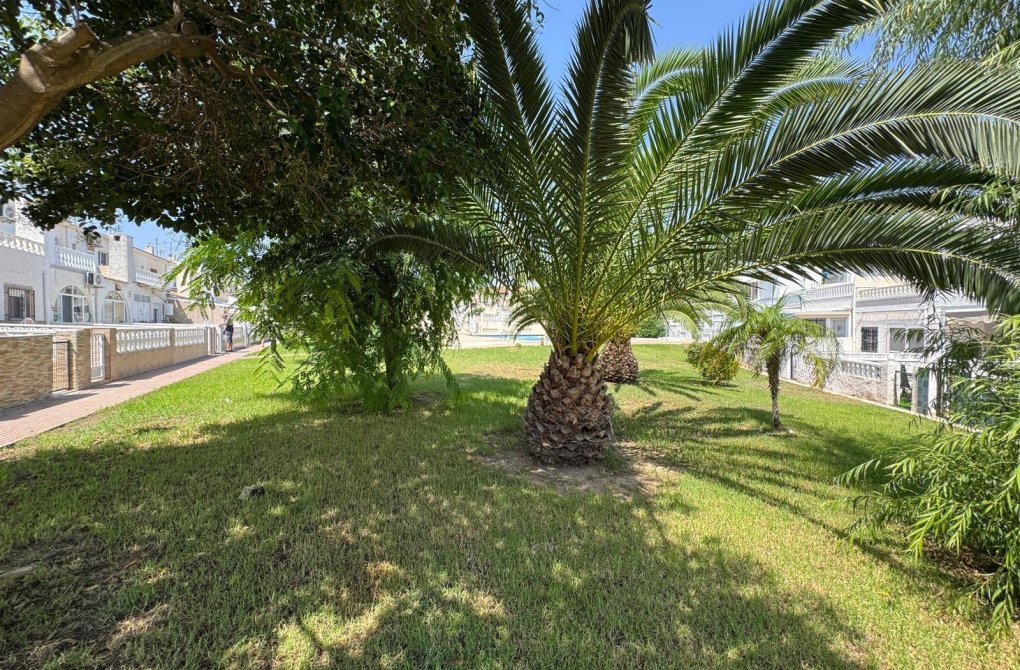 Resale - Terraced house - Torrevieja - Playa del cura