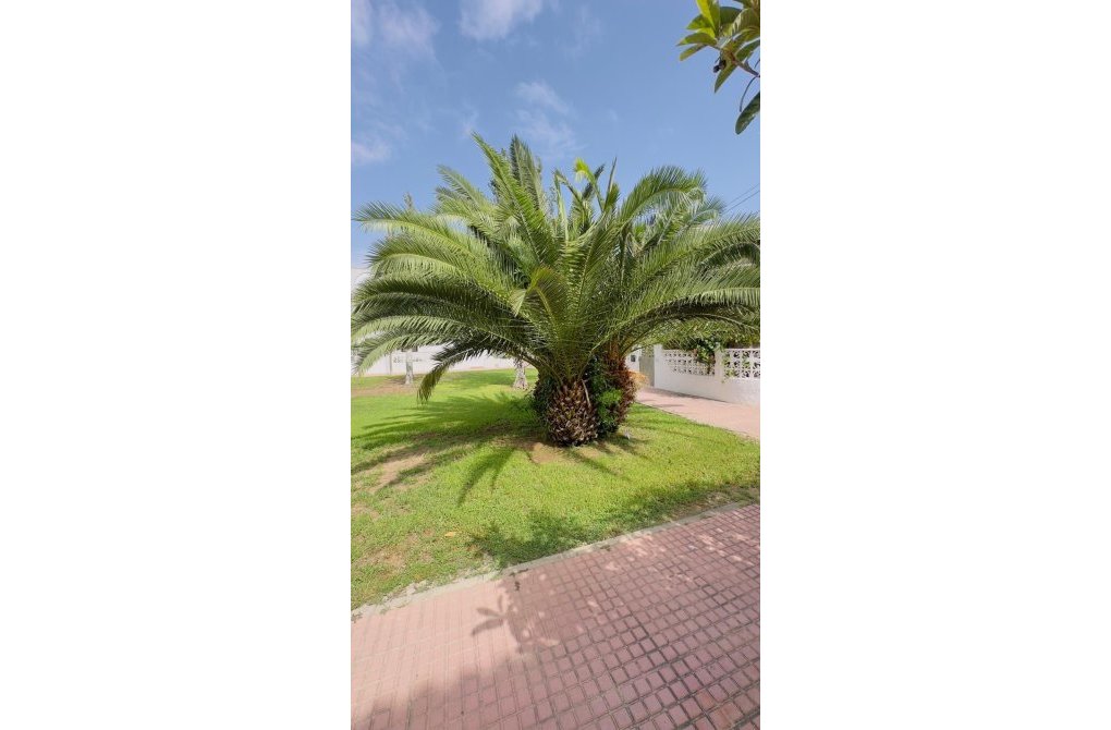 Resale - Bungalow - Torrevieja - Calas blanca