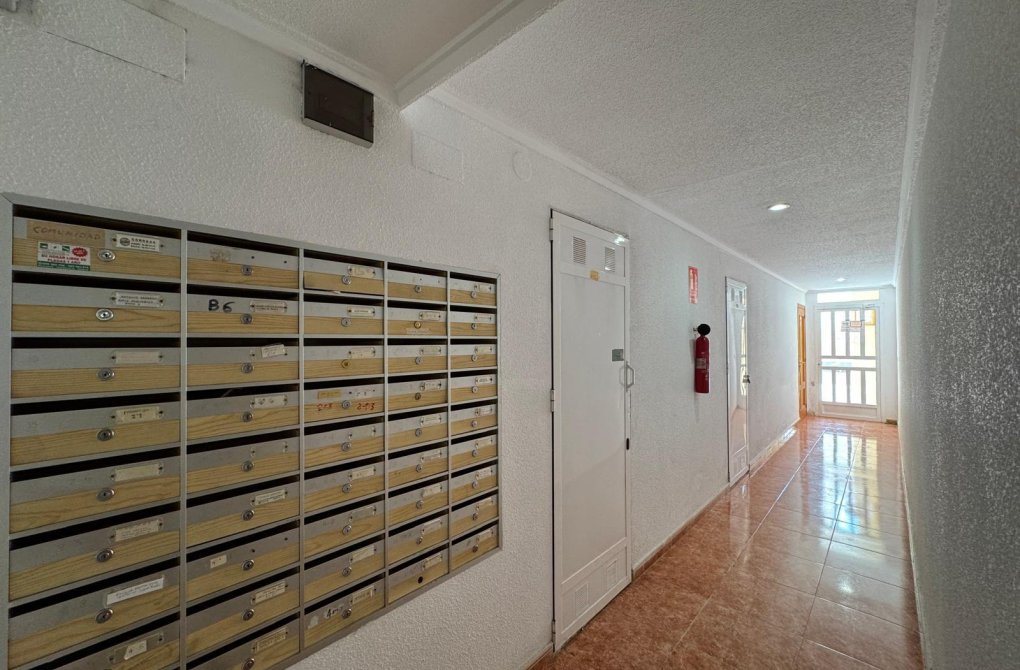 Resale - Apartment - Torrevieja - Estacion de autobuses