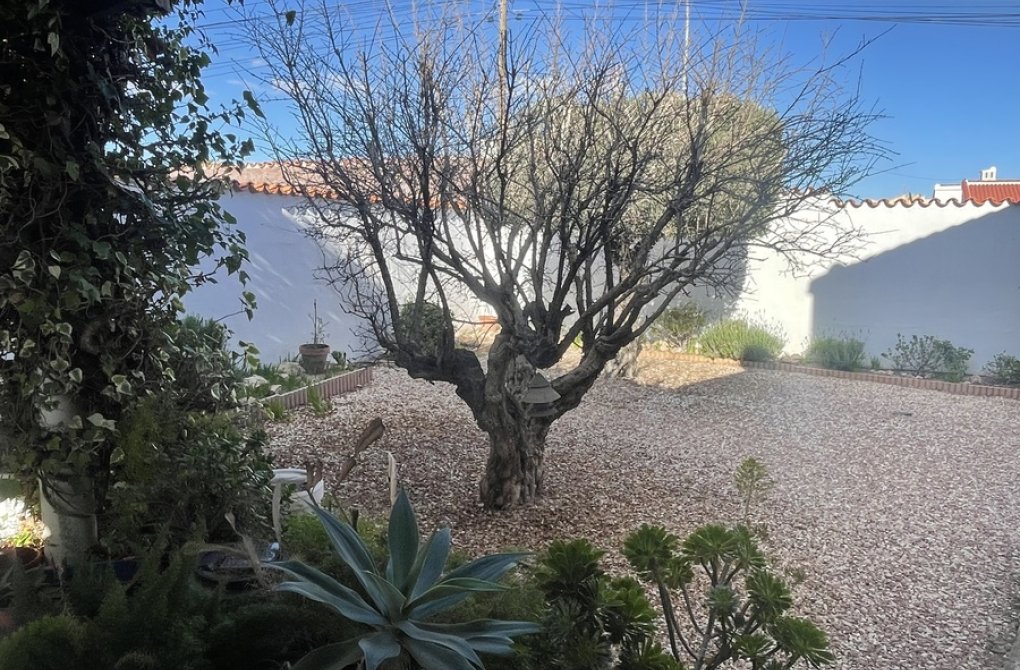 Rynek wtórny -  - Ciudad Quesada