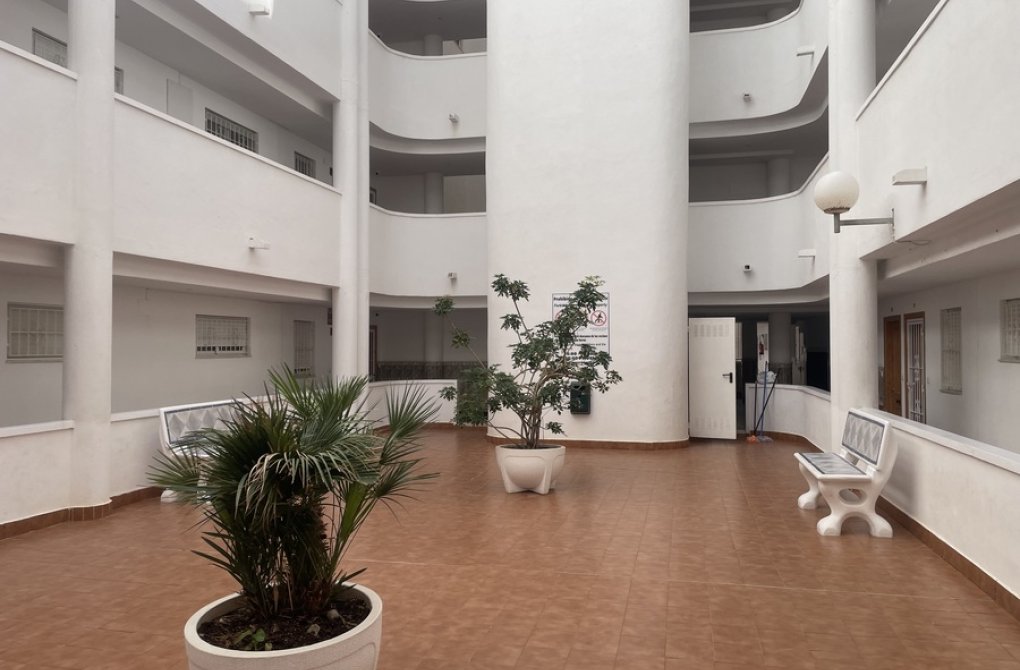 Reventa - Apartamento - Torrevieja - torrevieja