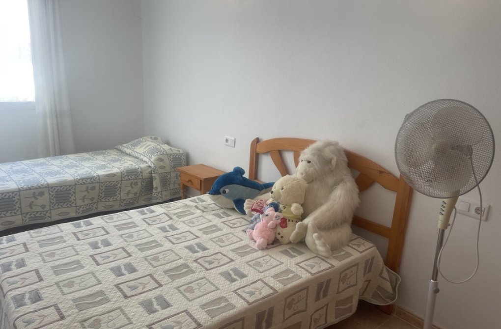 Reventa - Apartamento - Torrevieja - torrevieja