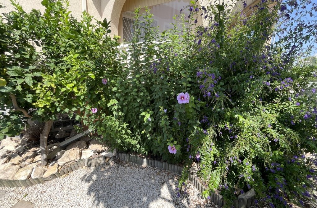 Вторичное жилье - Bилла - Ciudad Quesada