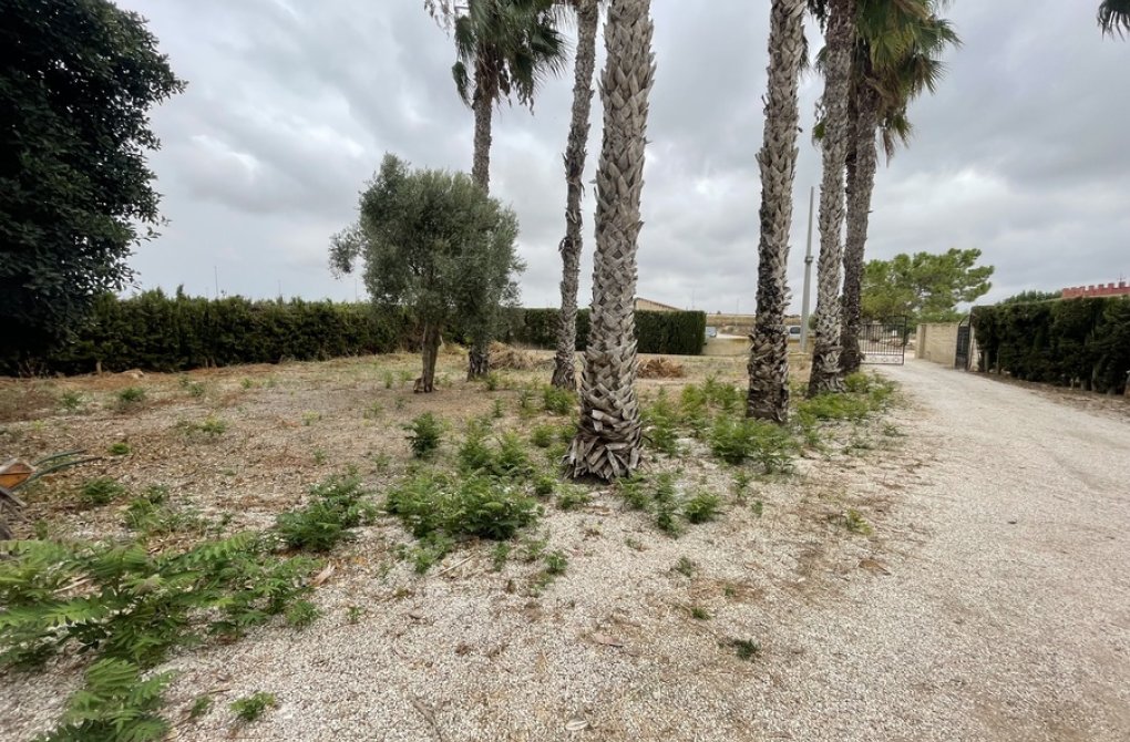 Resale - Finca - Daya Vieja