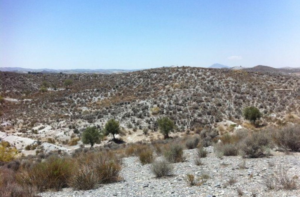 Resale - Plot - Lorca - La Hoya-Almendricos-Purias