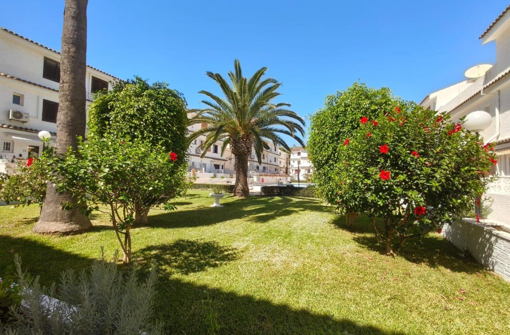 Resale - Triplex - Torrevieja - Punta prima