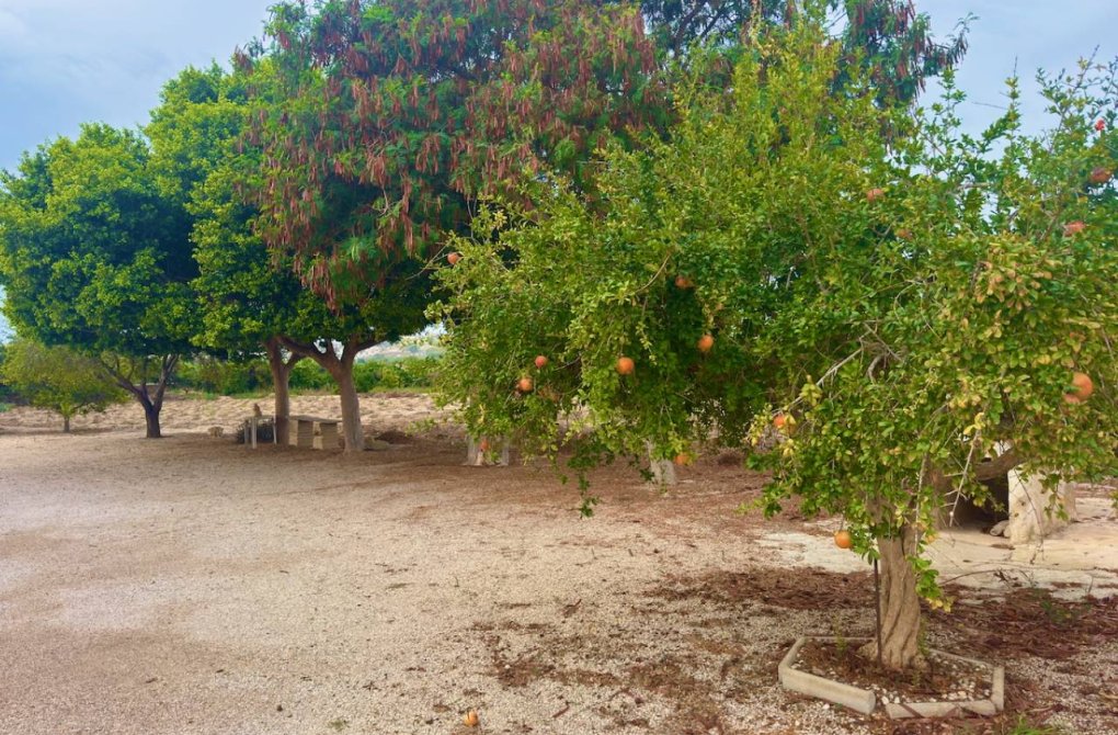 Resale - Finca / Country Property - Rojales - Cuidad Quesada