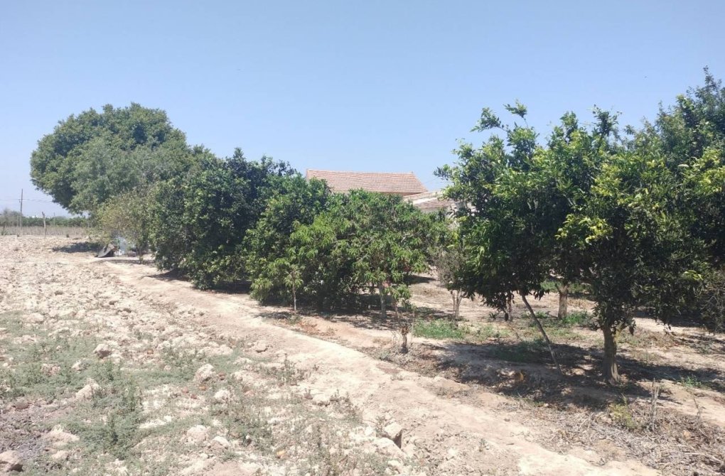 Resale - Finca / Country Property - Rojales - Cuidad Quesada