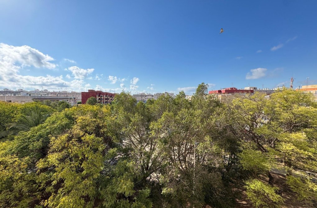 Resale - Apartment - Torrevieja - Estacion de autobuses