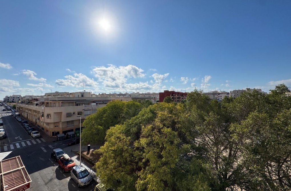 Resale - Apartment - Torrevieja - Estacion de autobuses