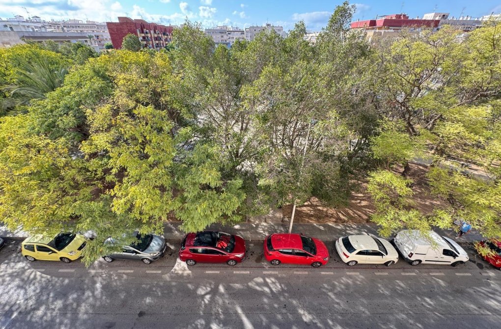 Resale - Apartment - Torrevieja - Estacion de autobuses