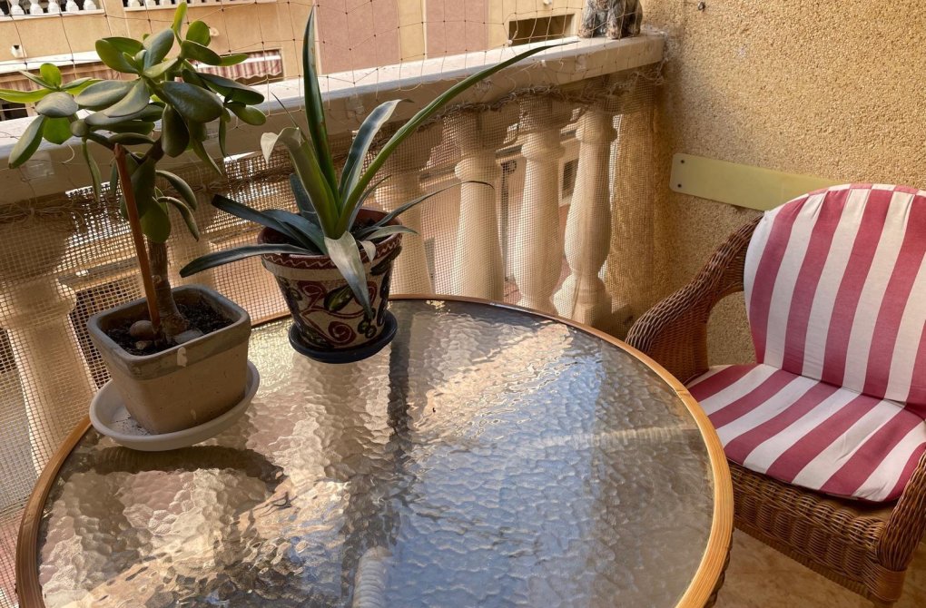Resale - Apartment - Torrevieja - Parque de las Naciones