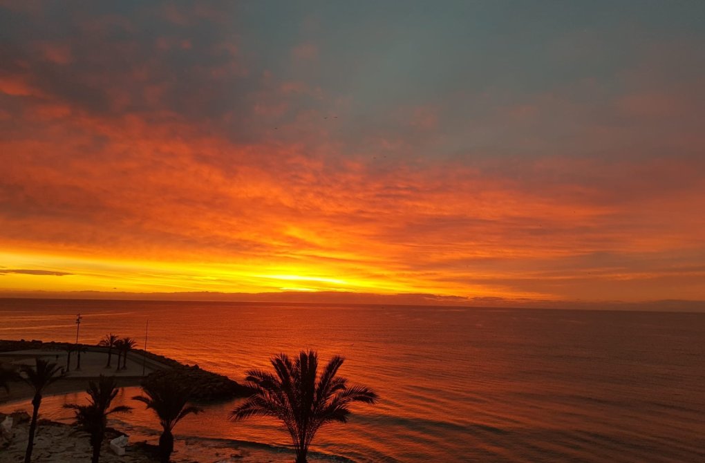 Resale - Apartment - Torrevieja - Playa del Cura