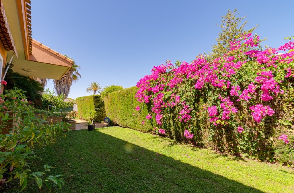 Reventa - Chalet - Campoamor