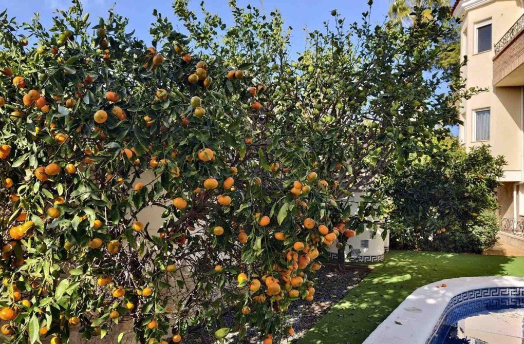 Reventa - Chalet - Ciudad quesada - Costa blanca sur