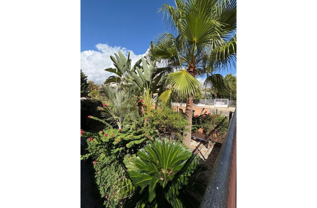 Resale - Apartment - Águilas - Collados