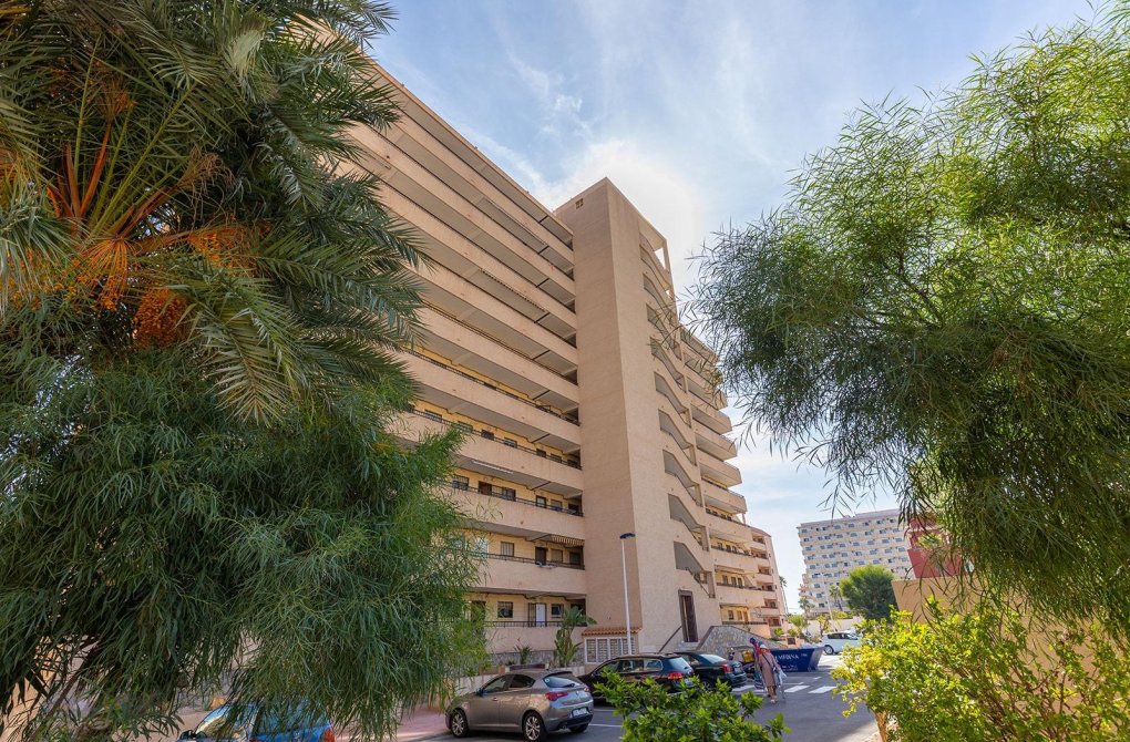 Resale - Apartment - Torrevieja - La Mata