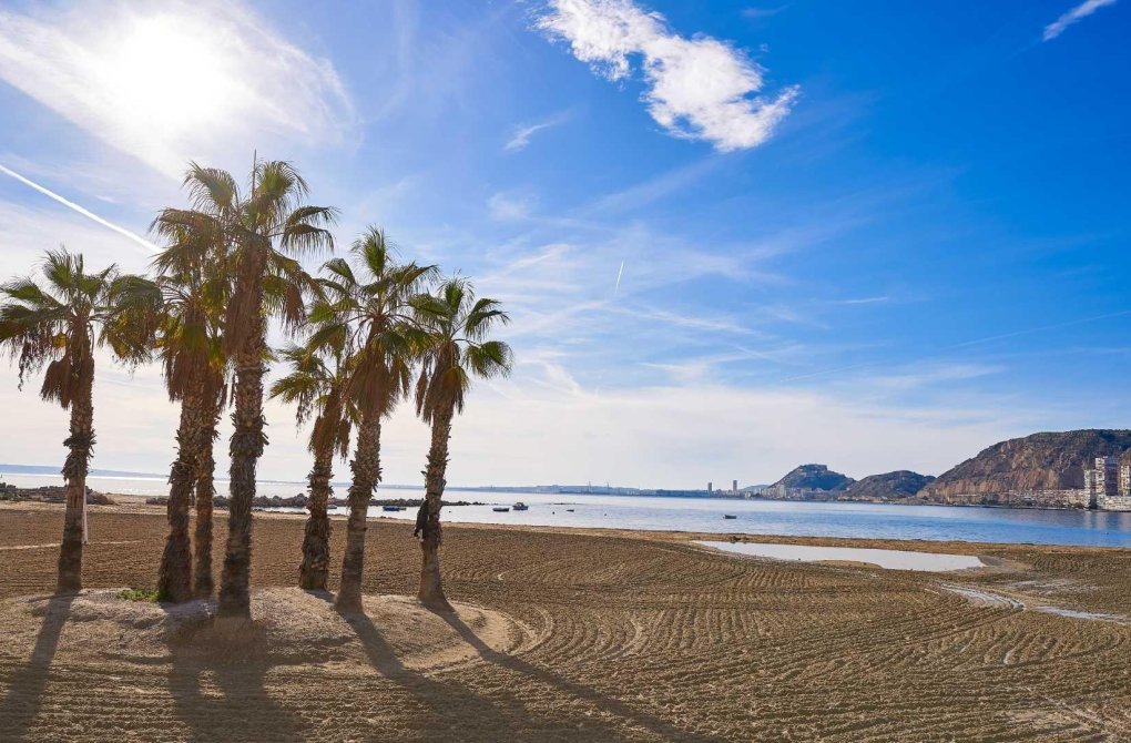 Новостройка - Bилла - Els Poblets - Partida Barranquets