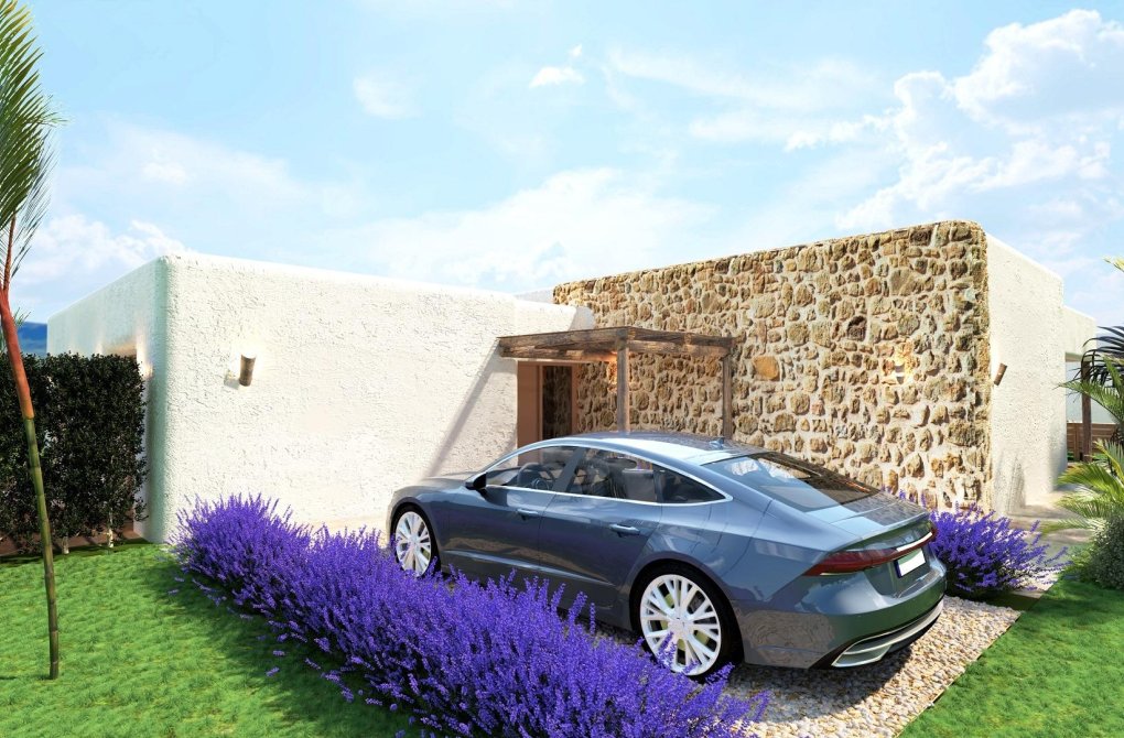 New build - Villa - Pinoso - Rodriguillo