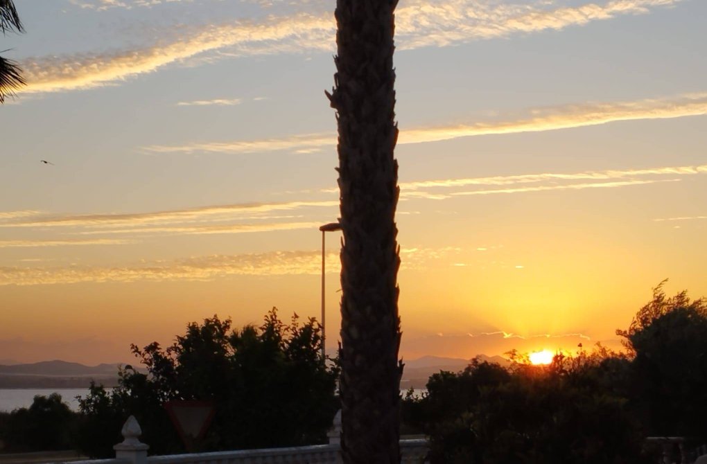 Resale - Villa - Torrevieja - La Siesta - El Salado - Torreta