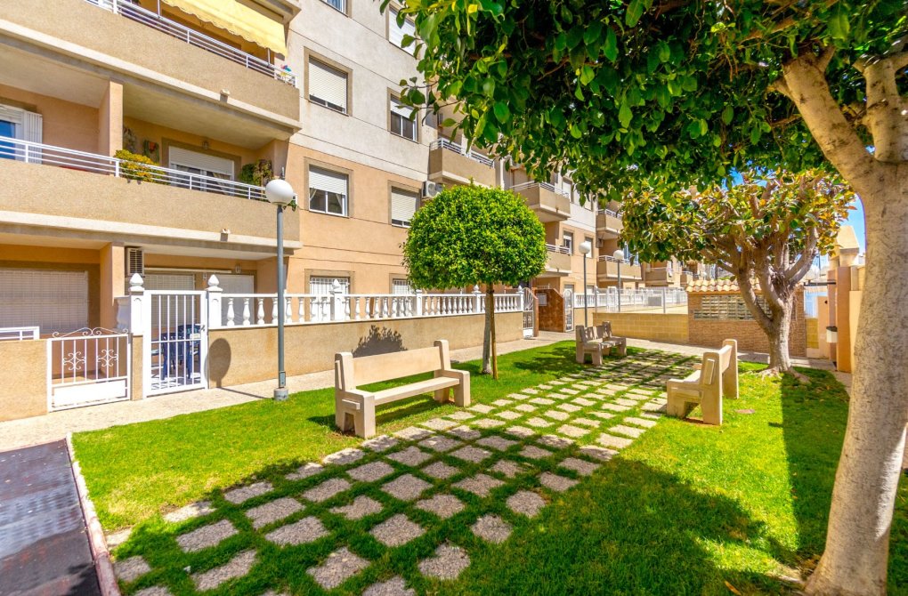 Resale - Apartment - Torrevieja - Centro