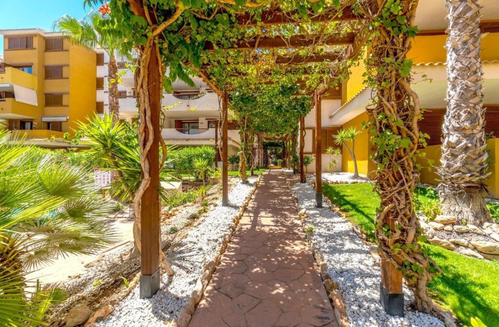 Resale - Apartment - Orihuela Costa - Punta Prima