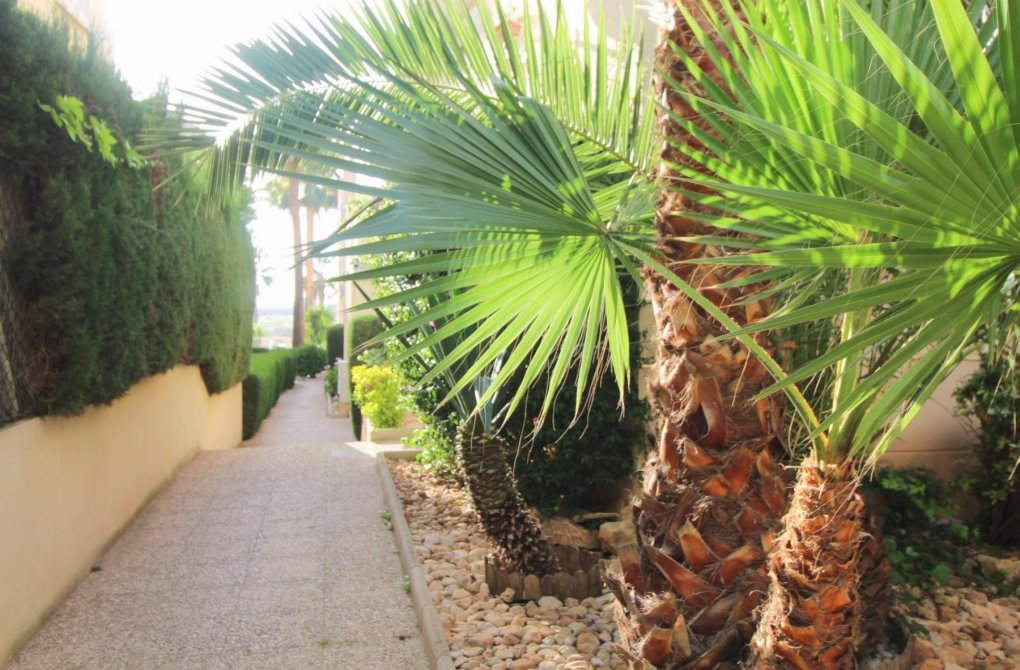 Resale - Apartamento - Torrevieja - La veleta