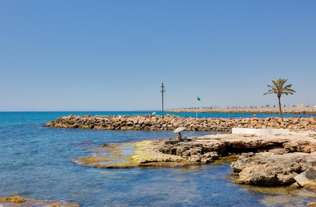 Resale - Apartamento - Torrevieja - Parque de las Naciones