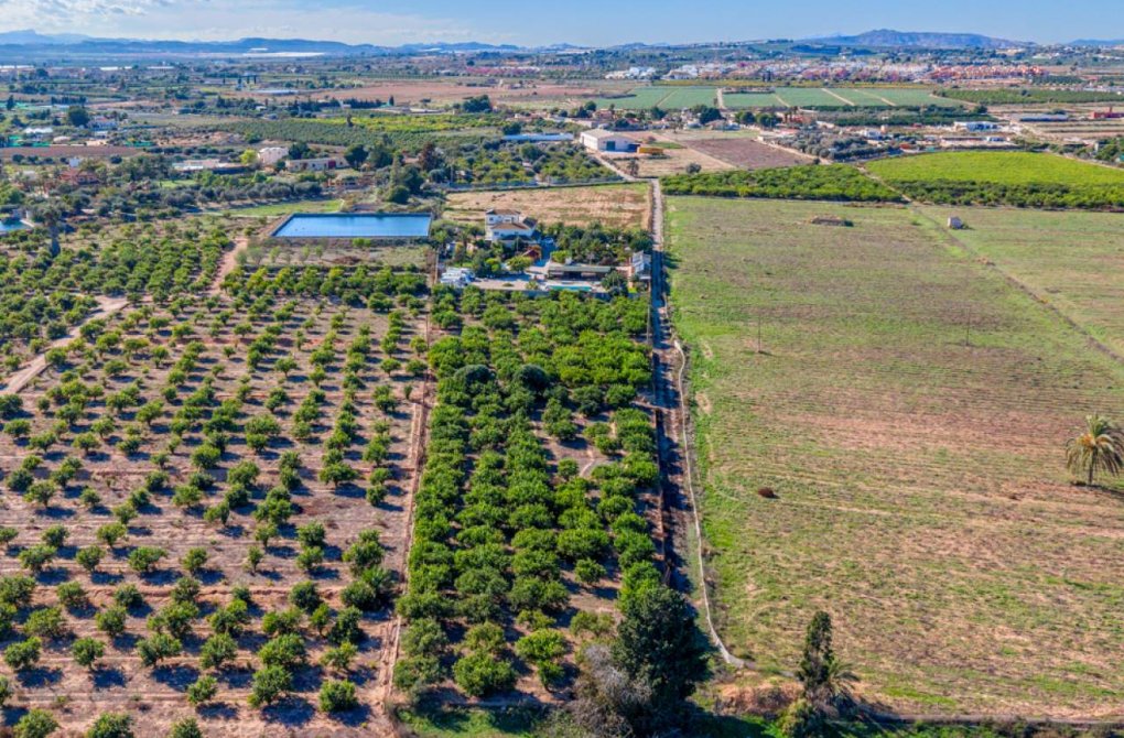 Вторичное жилье - Финка / Загородная недвижимость - Los Montesinos