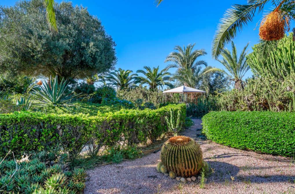 Вторичное жилье - Финка / Загородная недвижимость - Los Montesinos