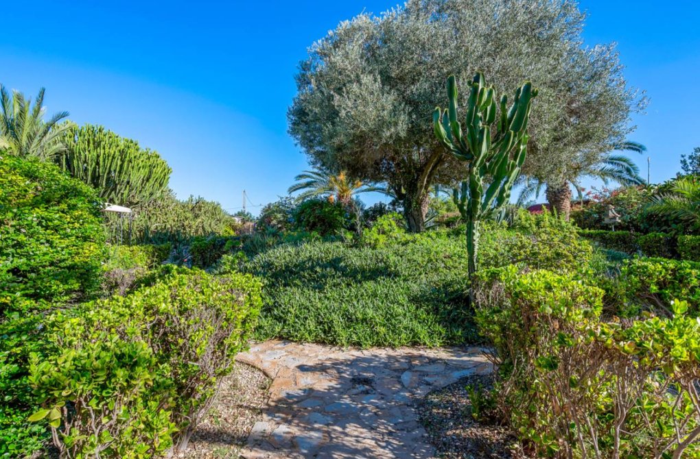 Вторичное жилье - Финка / Загородная недвижимость - Los Montesinos