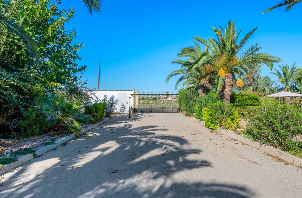 Вторичное жилье - Финка / Загородная недвижимость - Los Montesinos