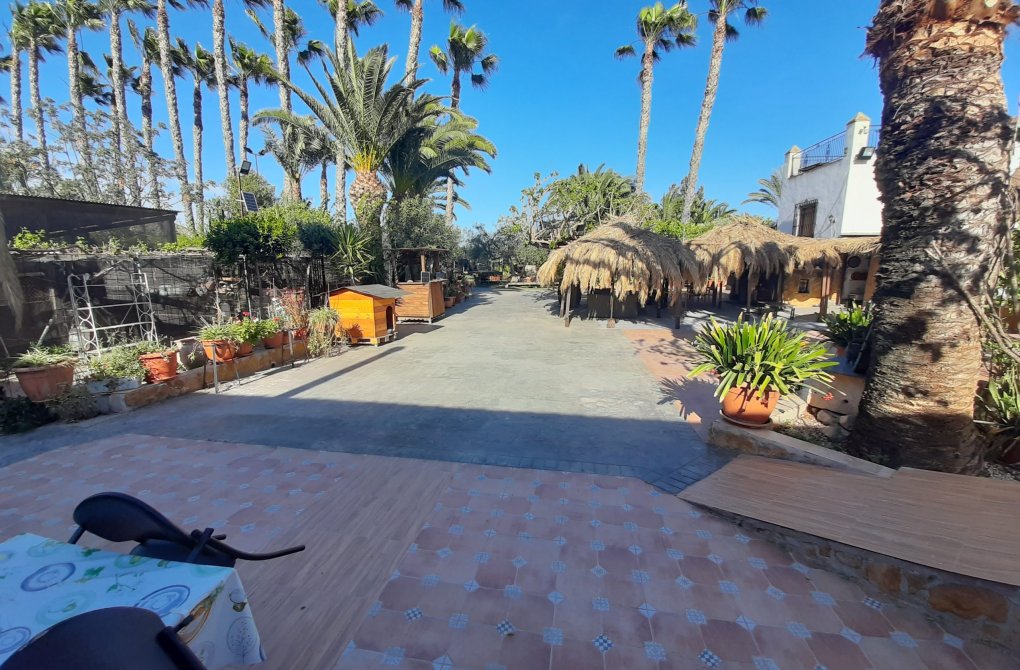 Вторичное жилье - Финка - Orihuela