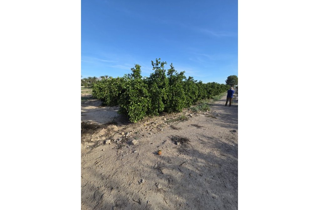 Resale - Casa - Albatera