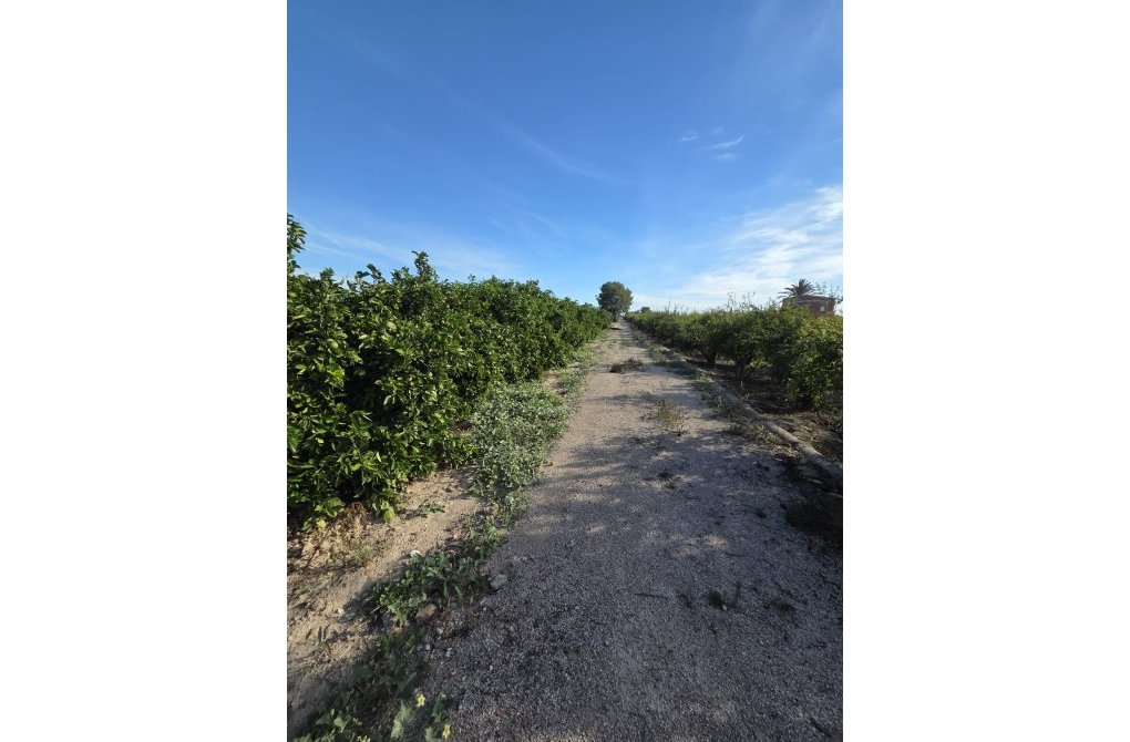 Resale - Casa - Albatera