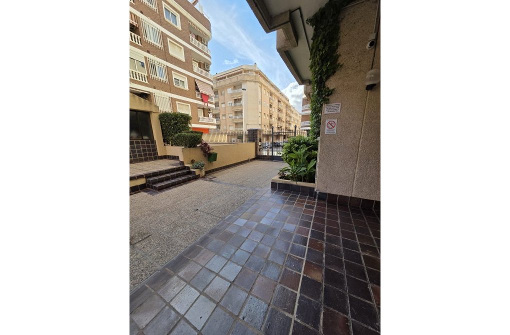 Rynek wtórny - Apartament - Torrevieja - torrevieja