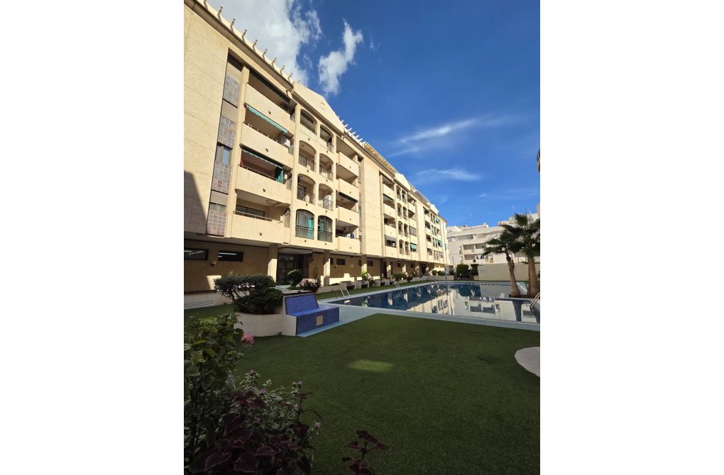 Rynek wtórny - Apartament - Torrevieja - torrevieja